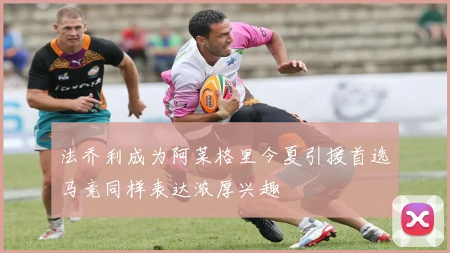 法乔利成为阿莱格里今夏引援首选马竞同样表达浓厚兴趣