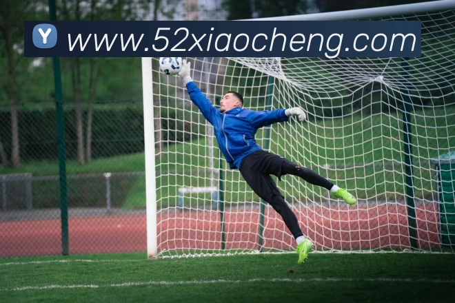 App Interface Preview