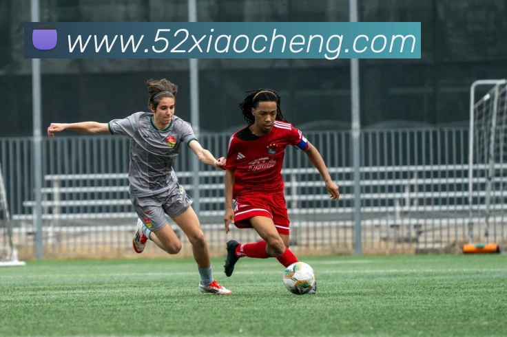 九游j9官方APP 封面图